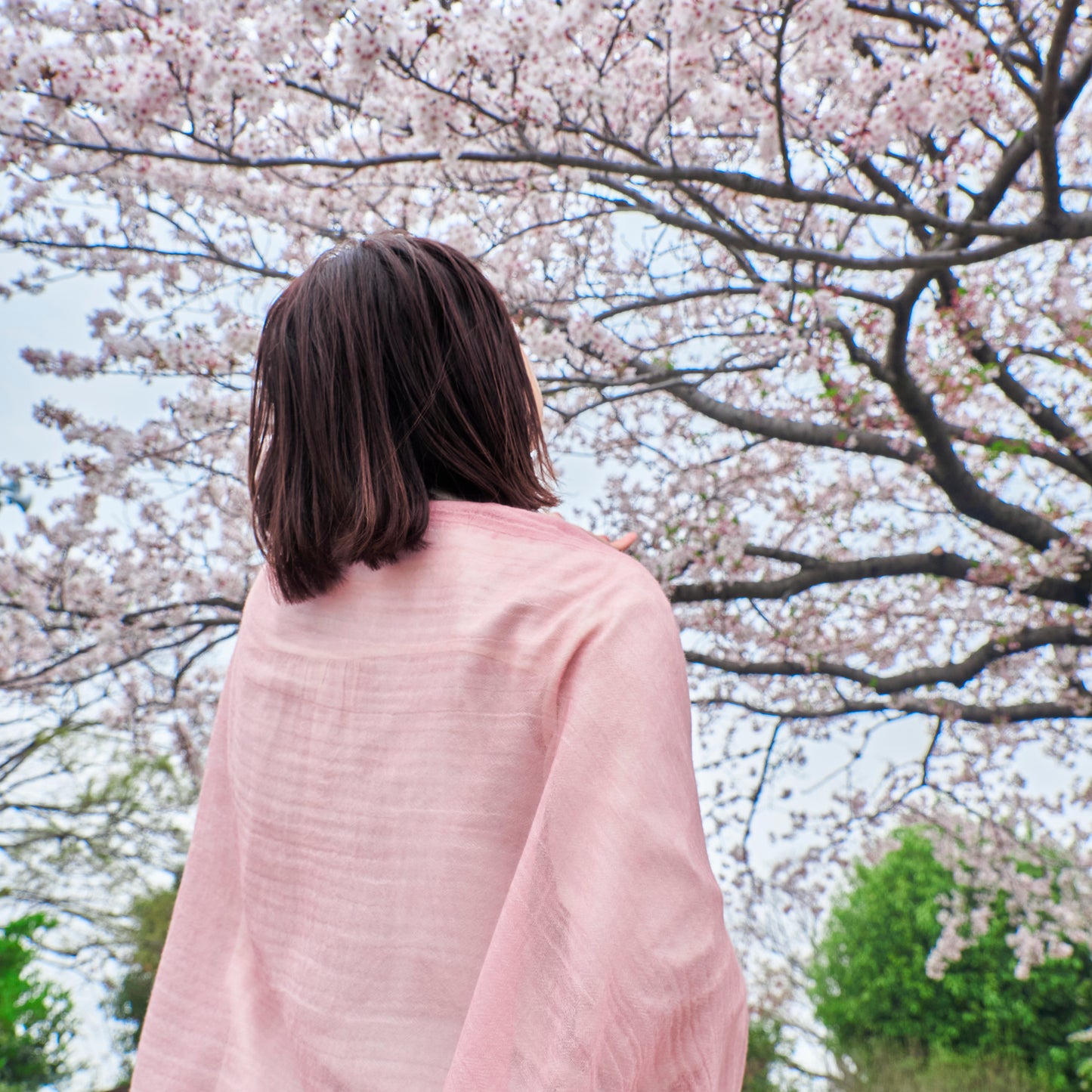 ふわりと軽くて柔らかい　カシミヤストール -春夏におすすめの4color