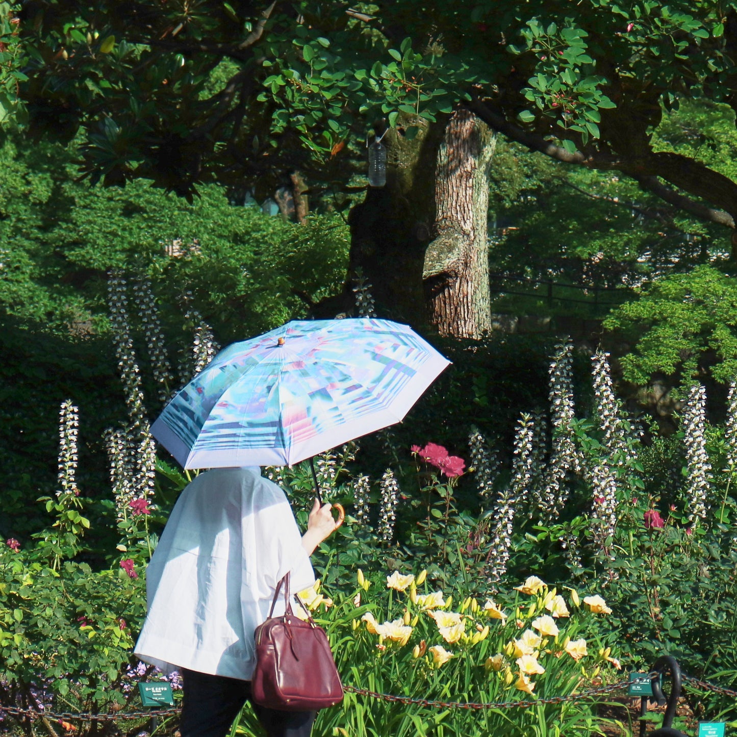 晴雨兼用の折りたたみ日傘 _ PARALLEL _ 2color